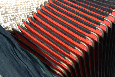 Old accordion in a spring gardenの写真素材