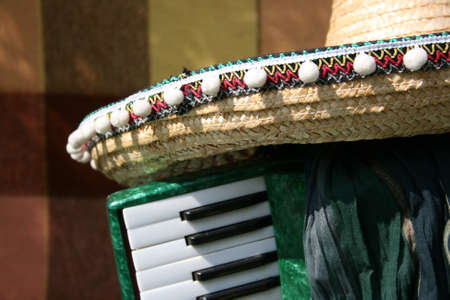 Old accordion in a spring garden and the Mexican hatの写真素材