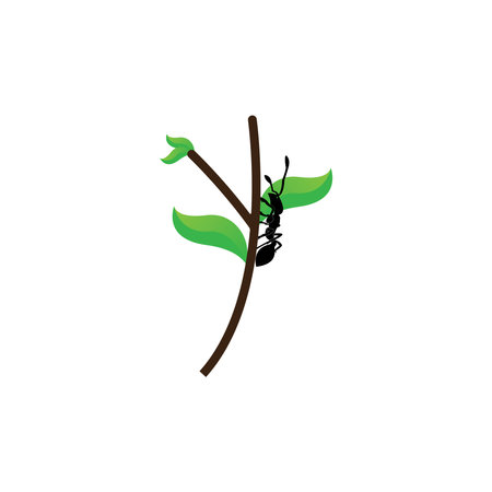 Ant Logo template vector illustration designのイラスト素材