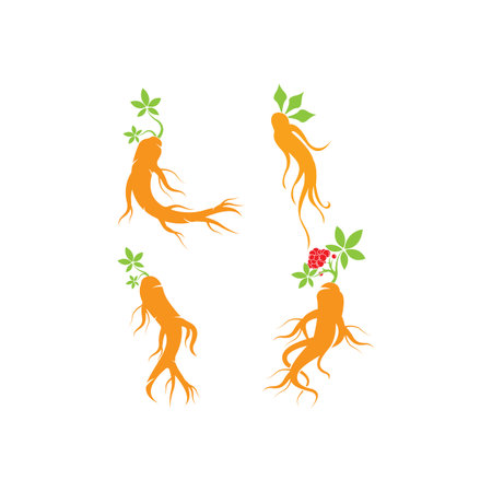 Ginseng icon Vector Illustration design Logo templateのイラスト素材