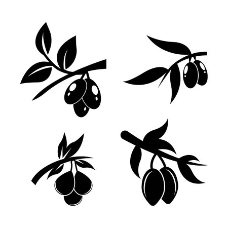 set of Olive logo vector illustration designのイラスト素材