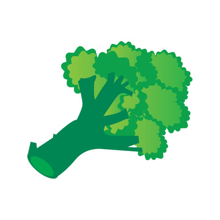 Broccoli vegetable logo,icon vector illustration designのイラスト素材