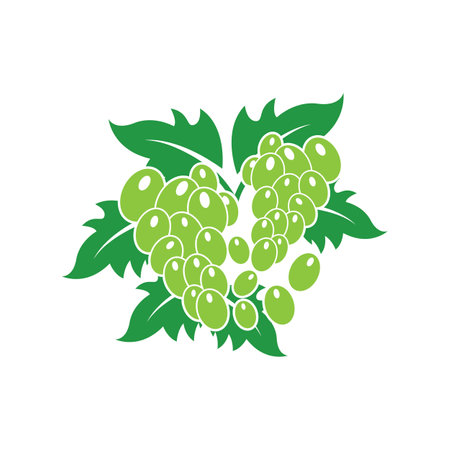 Grape icon vector illustration logo designのイラスト素材