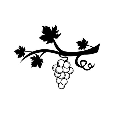 Grape icon vector illustration logo designのイラスト素材