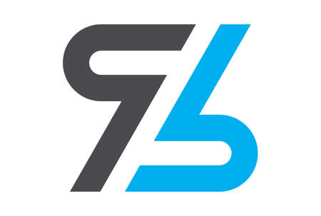 letter Z graphic vector icon