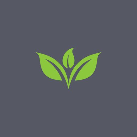 Leaf design template vector spa & esthetics