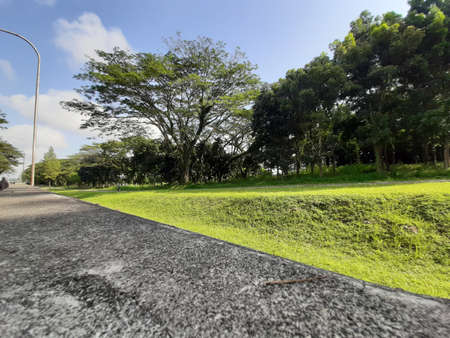 Green grass at Dermaga Mrican - Banjarnegara
