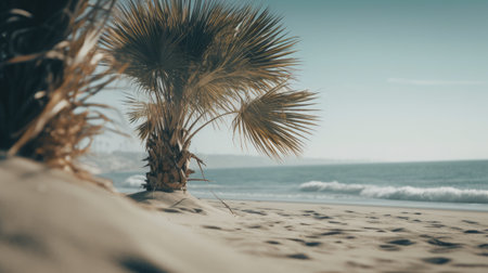 California Day Illustration with Palm Tree, 3d ralisticの素材