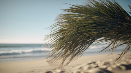 California Day Illustration with Palm Tree, 3d ralisticの素材