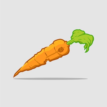 carrots that have been bittenのイラスト素材
