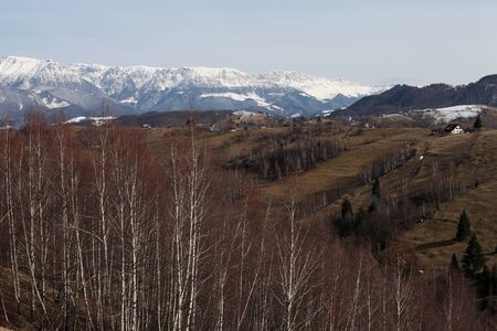 Mountain range and forest in sunset lightの写真素材
