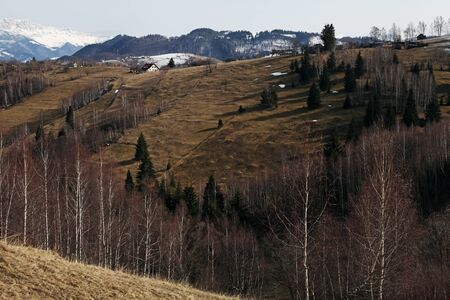 Mountain range and forest in sunset lightの写真素材