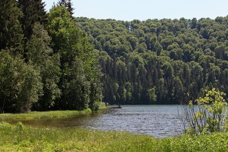 Mountain lake forest landscapeの写真素材