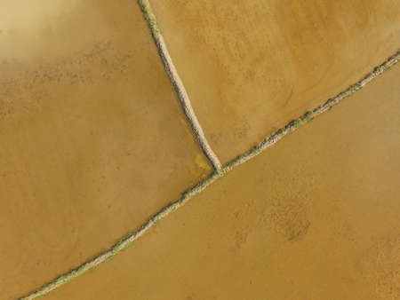 Rice Field ready for planting process in South Sulawesi Indonesia.