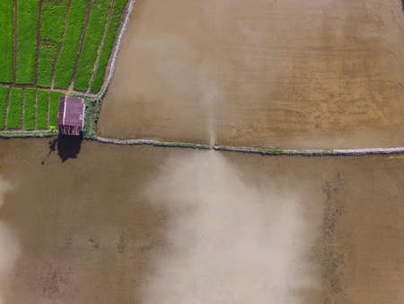 Rice Field ready for planting process in South Sulawesi Indonesia.の写真素材
