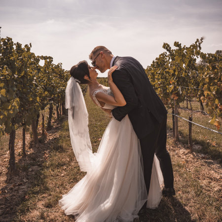 Wedding couple in vineyard. Bride and groom at sunsetの写真素材