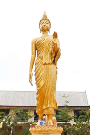 image of color gold Buddha standsの写真素材