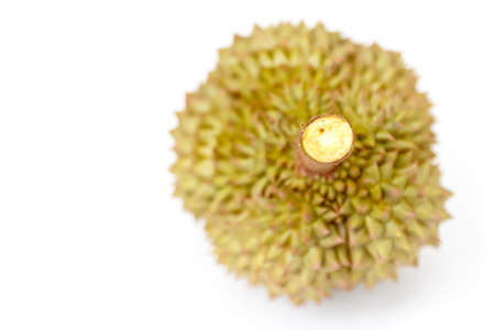 cooked durian fully eatの写真素材