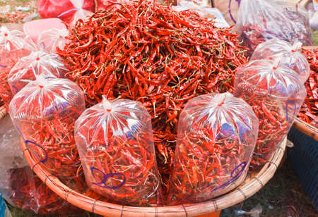 red dry chili solds in the marketの写真素材