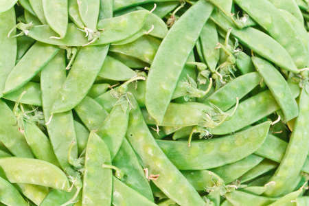 garden pea in the marketの写真素材