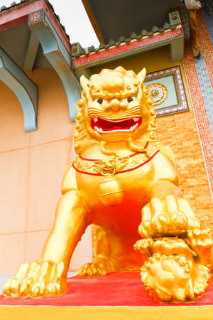 The golden lion statues in front of temple ,thailandの写真素材