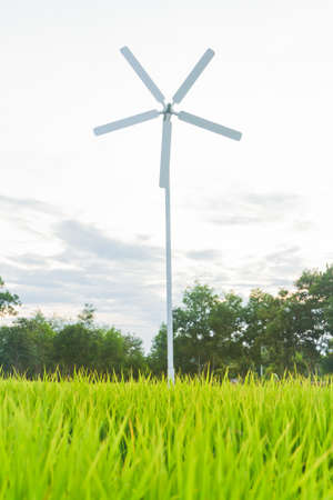 Rice field with wind turbines in thailand