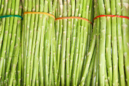 Fresh Asparagus ready sales の写真素材
