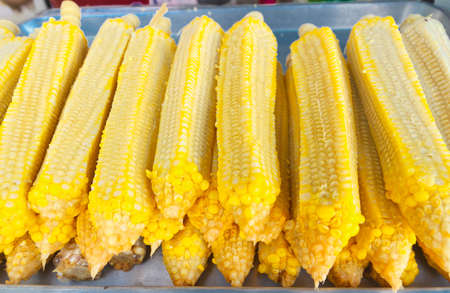Cob of corn on the Trayの写真素材
