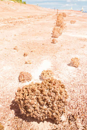 Erosion of soil 
