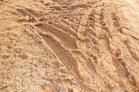 Tire tracks on the ground was muddy 