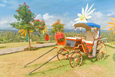carriage   see free show, at Mae Moh Lignite Mine  Lampang Thailand の写真素材