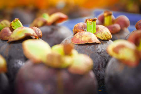 Ripe mangosteen in the basket  Garcinia mangostana Linn  の写真素材