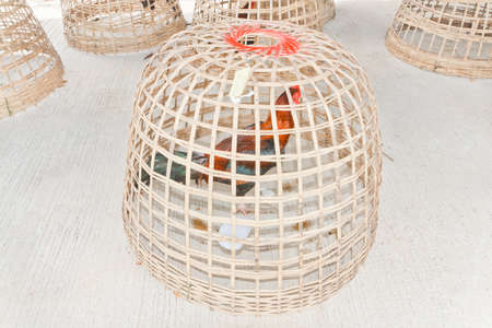 Chicken coop  made from bambooの写真素材