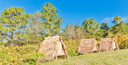 Thatched bungalows very cheap のeditorial素材