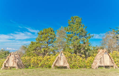 Thatched bungalows very cheap 