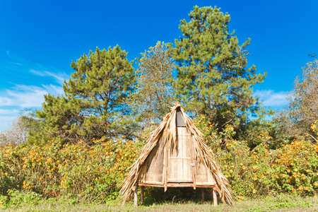 Thatched bungalows very cheap の写真素材