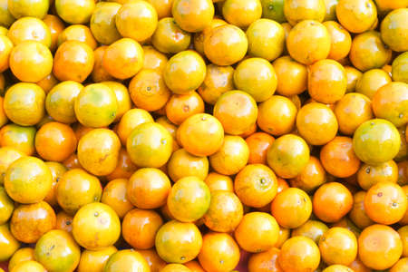 Orange honeysuckle species, stack  on the market for sale.