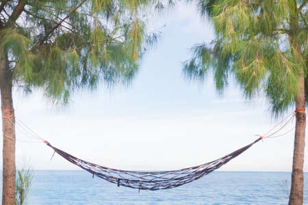 Hammock, tied at the seaside pines.