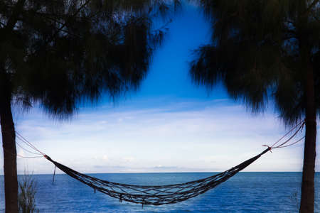 Hammock, hanging on a pine tree at the seaside, a silhouette.の写真素材