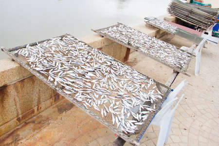 Many small sea fish, dried on the sieve.