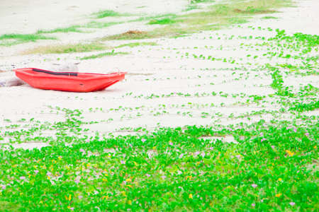 Goat's Foot Creeper or Beach Glory (Ipomoea pes-caprae) and the orange boat, on the beachの写真素材