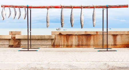 Sea fish, hang to dry on a wooden railing.の写真素材