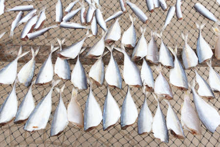 Many small sea fish, dried on the sieve.