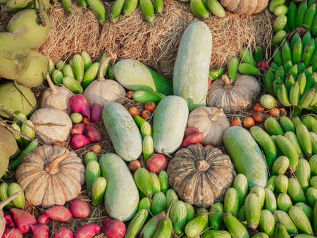 heaps of vegetables and fruits.の写真素材