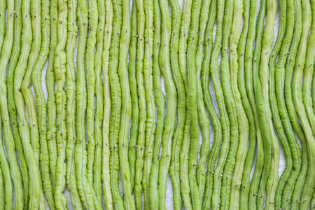 The walls are decorated with a pattern.の写真素材