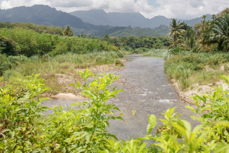 River in the jungle and mountains in the background.の写真素材