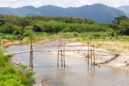 Bamboo bridge over the river in the countryside of thailand.の写真素材