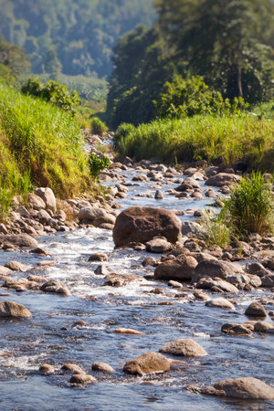 Mountain river in the morning , Thailand.の写真素材