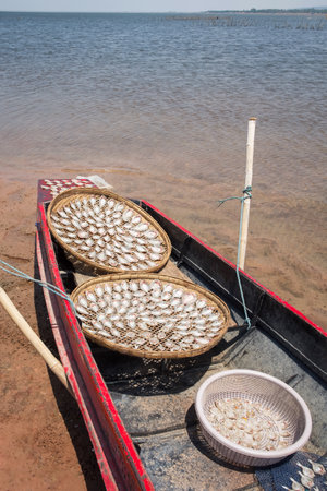 Dried fish in a boat on the beach.の写真素材