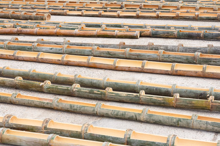 Bamboo stalks in a row on the ground, Thailand.